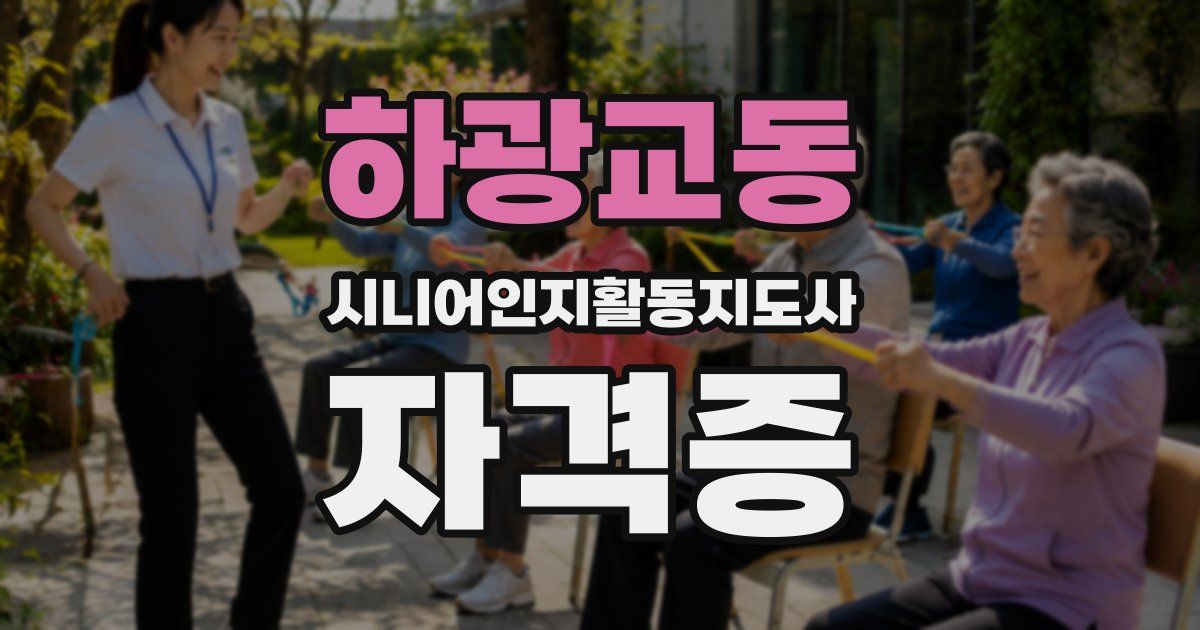 하광교동 시니어인지활동지도사 자격증