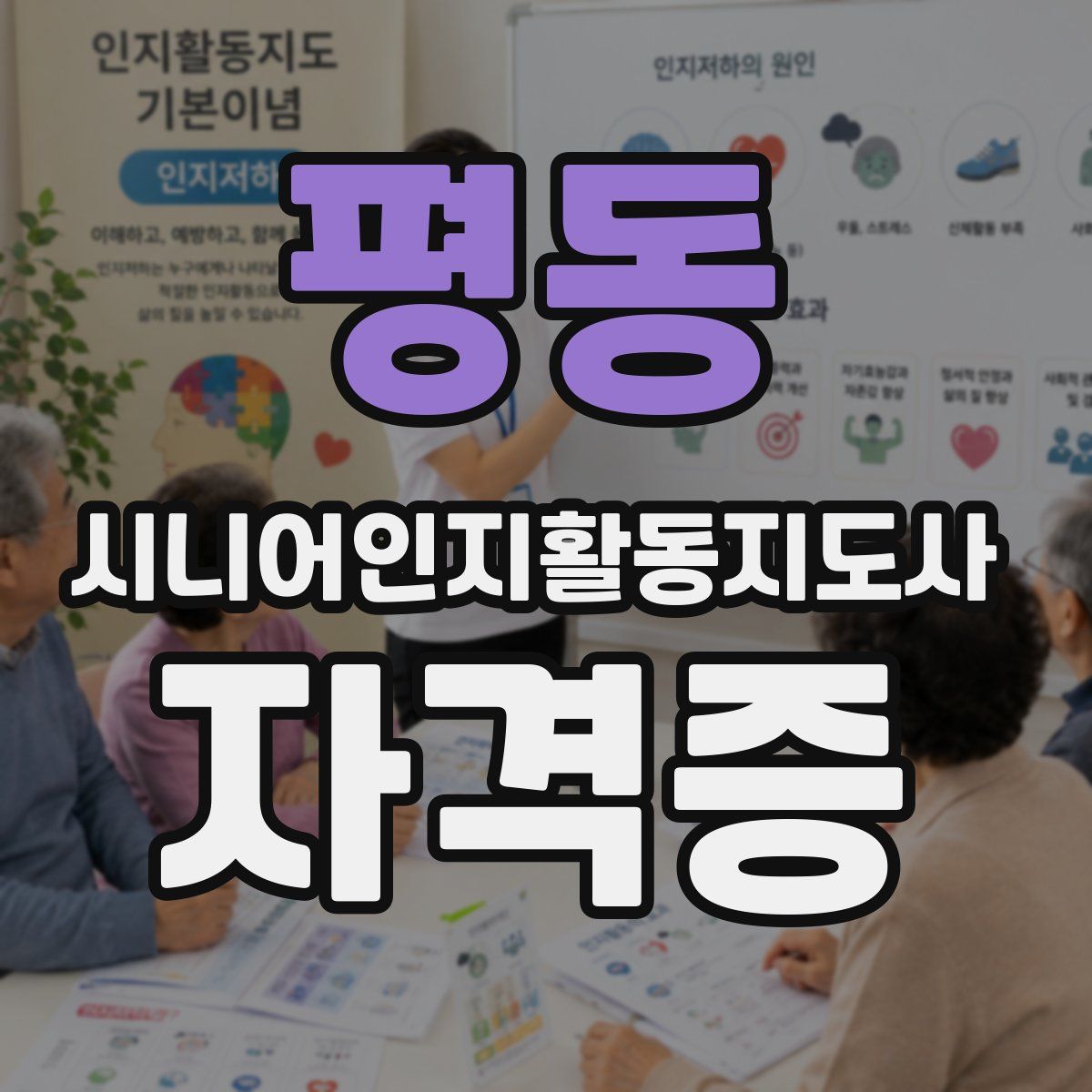 평동 시니어인지활동지도사 자격증
