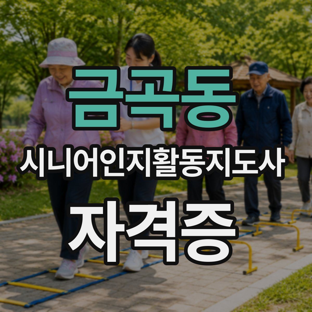 금곡동 시니어인지활동지도사 자격증