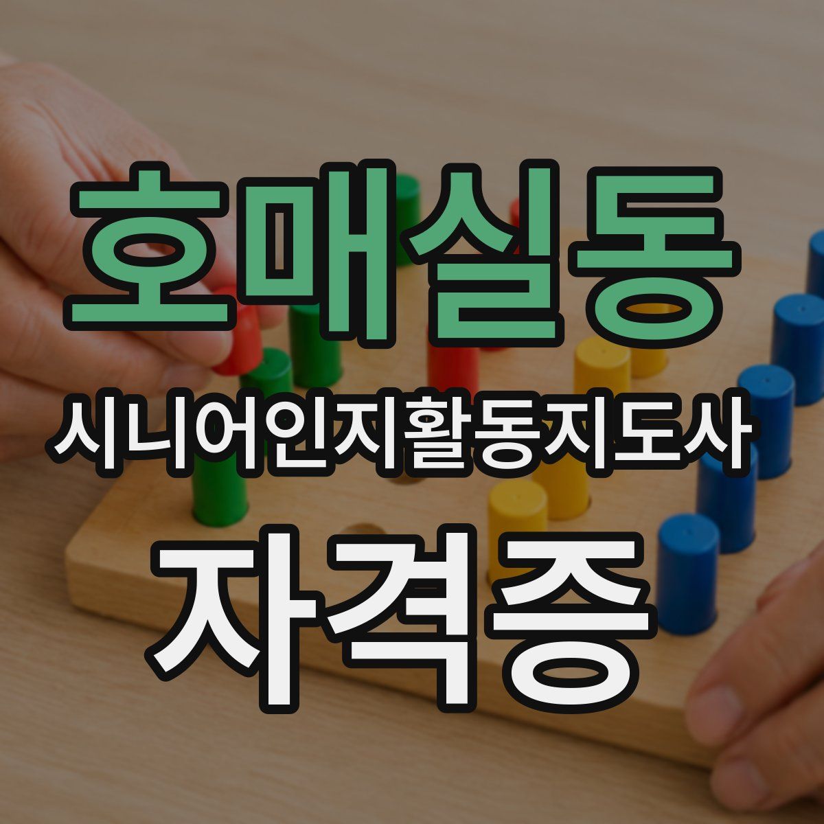 호매실동 시니어인지활동지도사 자격증
