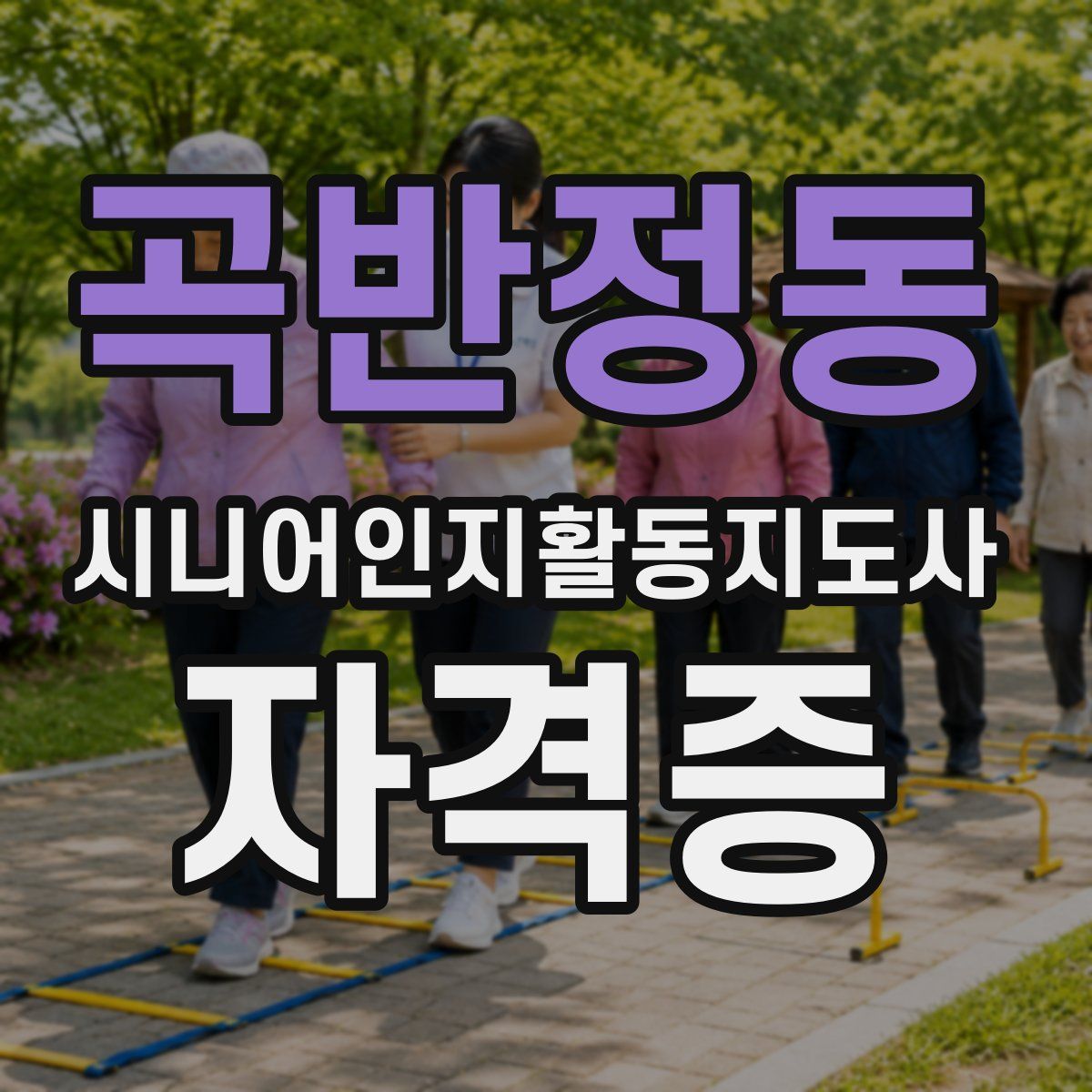 곡반정동 시니어인지활동지도사 자격증