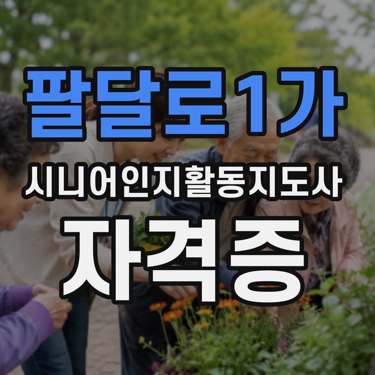 팔달로1가 시니어인지활동지도사 자격증