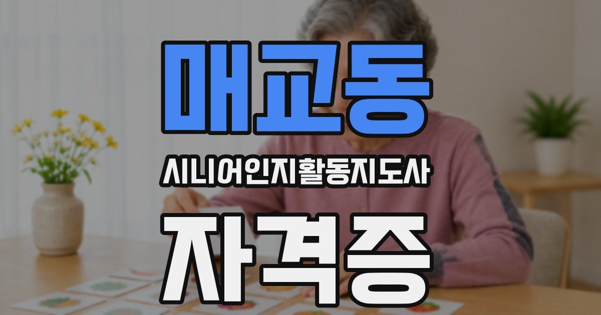 매교동 시니어인지활동지도사 자격증