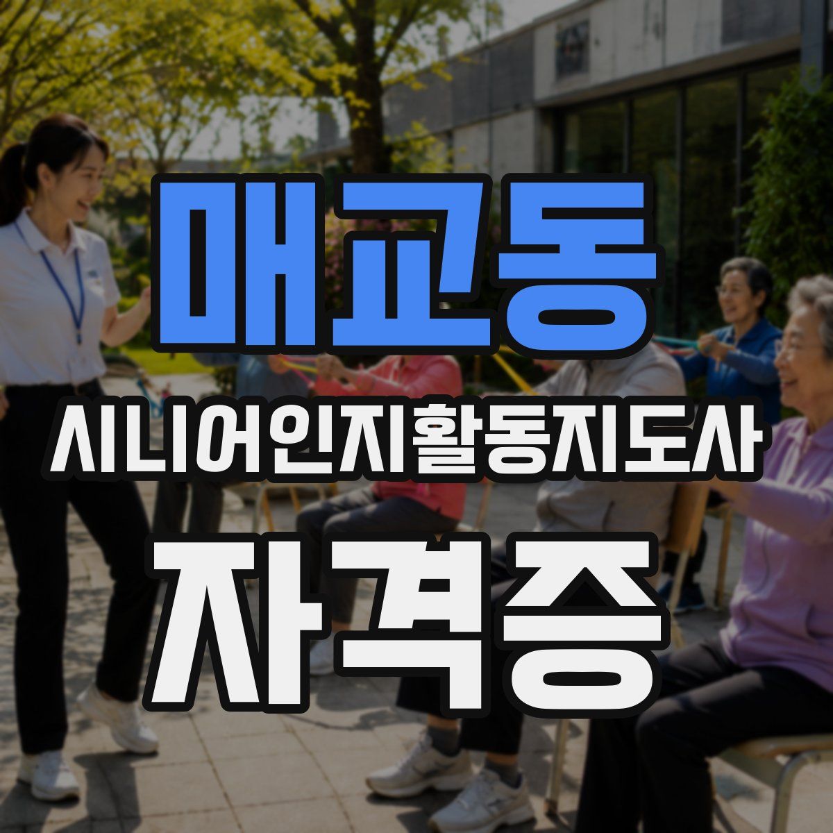 매교동 시니어인지활동지도사 자격증