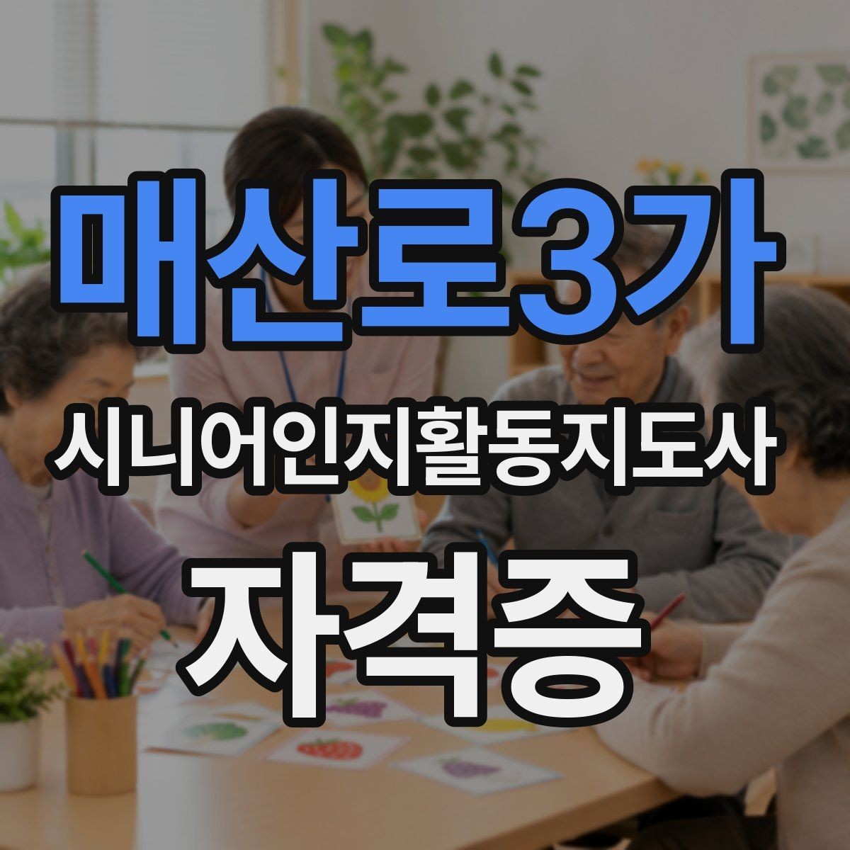 매산로3가 시니어인지활동지도사 자격증 과정별 차이 비교