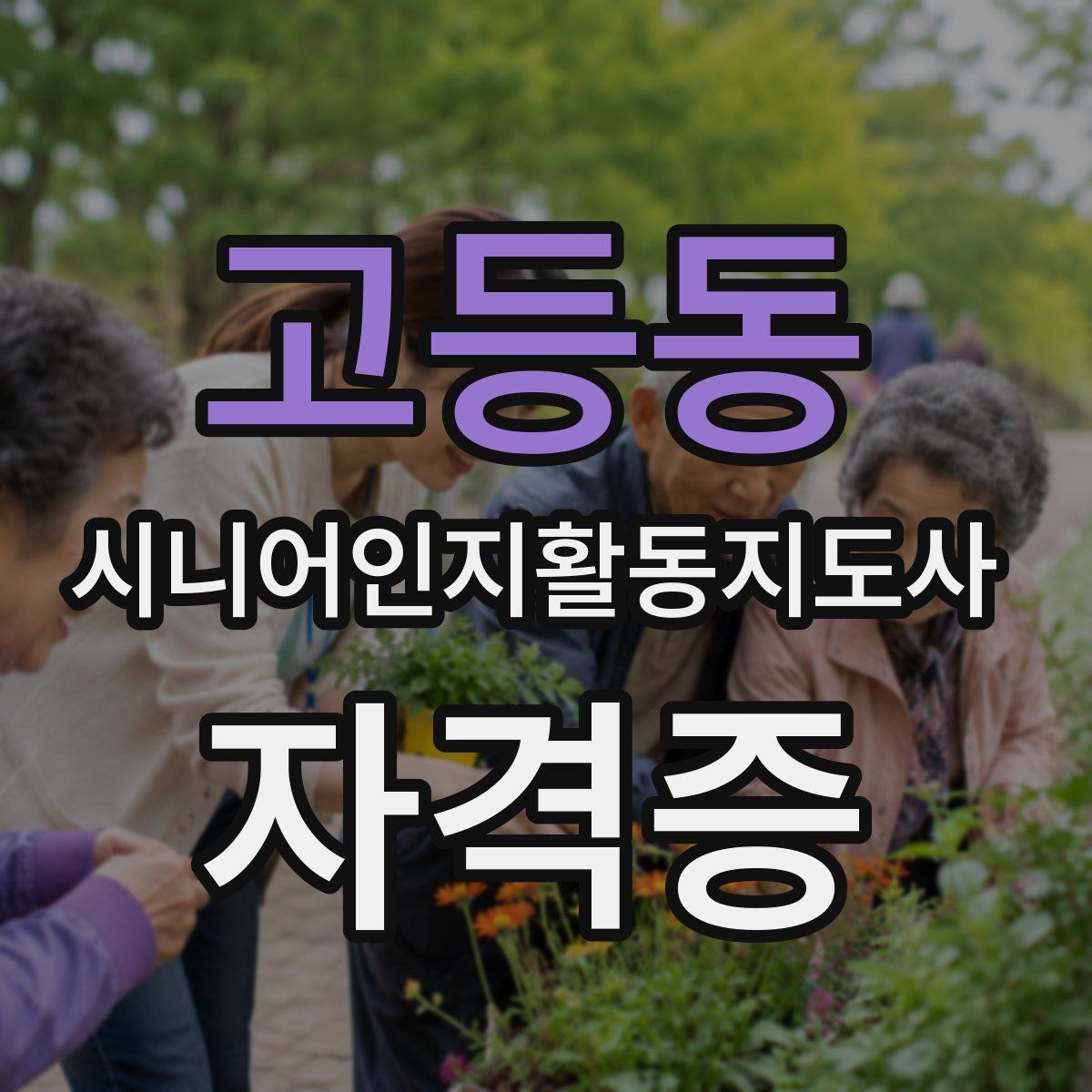 고등동 시니어인지활동지도사 자격증