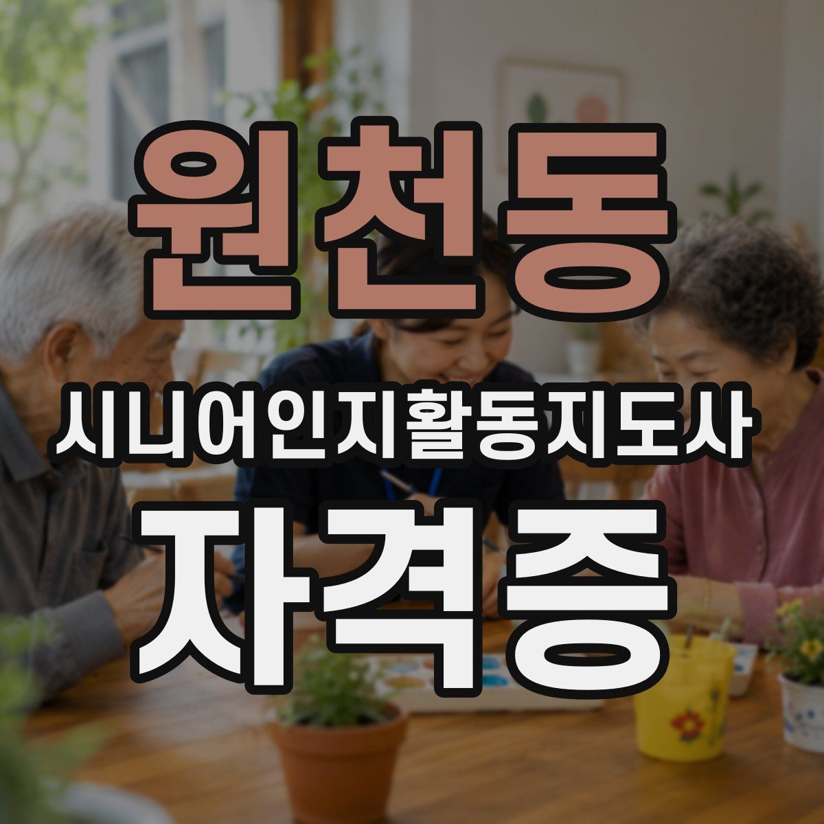 원천동 시니어인지활동지도사 자격증