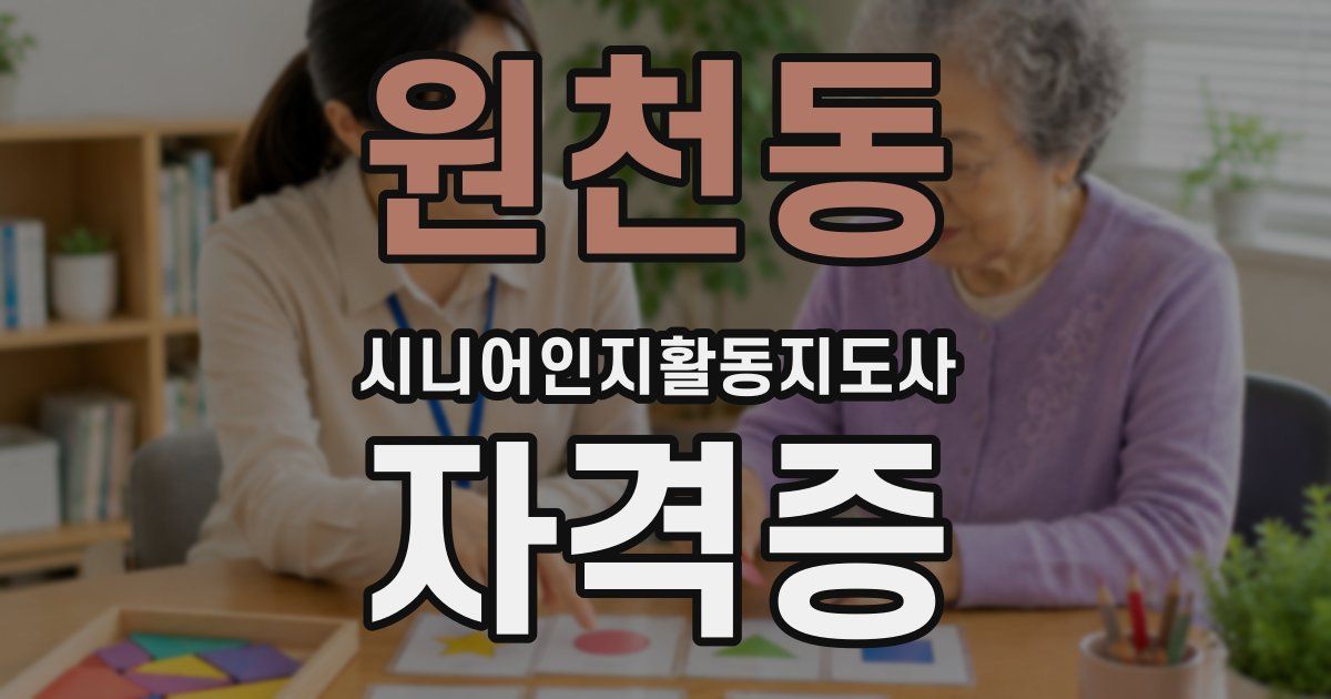 원천동 시니어인지활동지도사 자격증