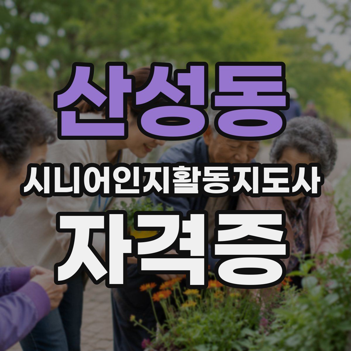 산성동 시니어인지활동지도사 자격증