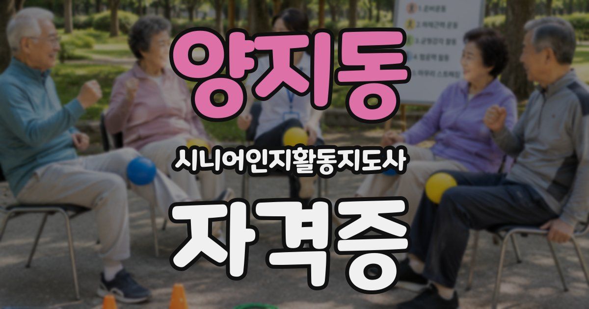 양지동 시니어인지활동지도사 자격증