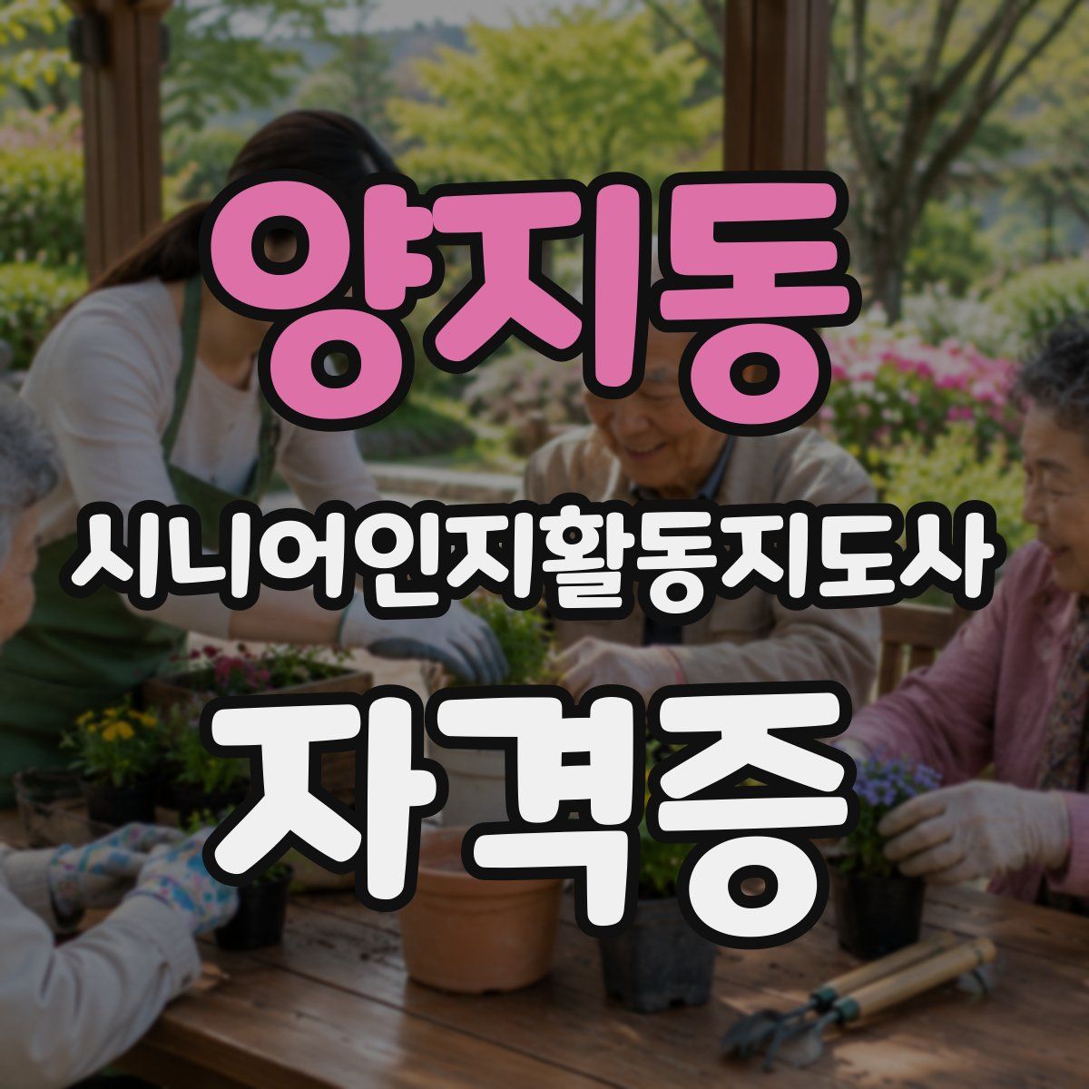 양지동 시니어인지활동지도사 자격증