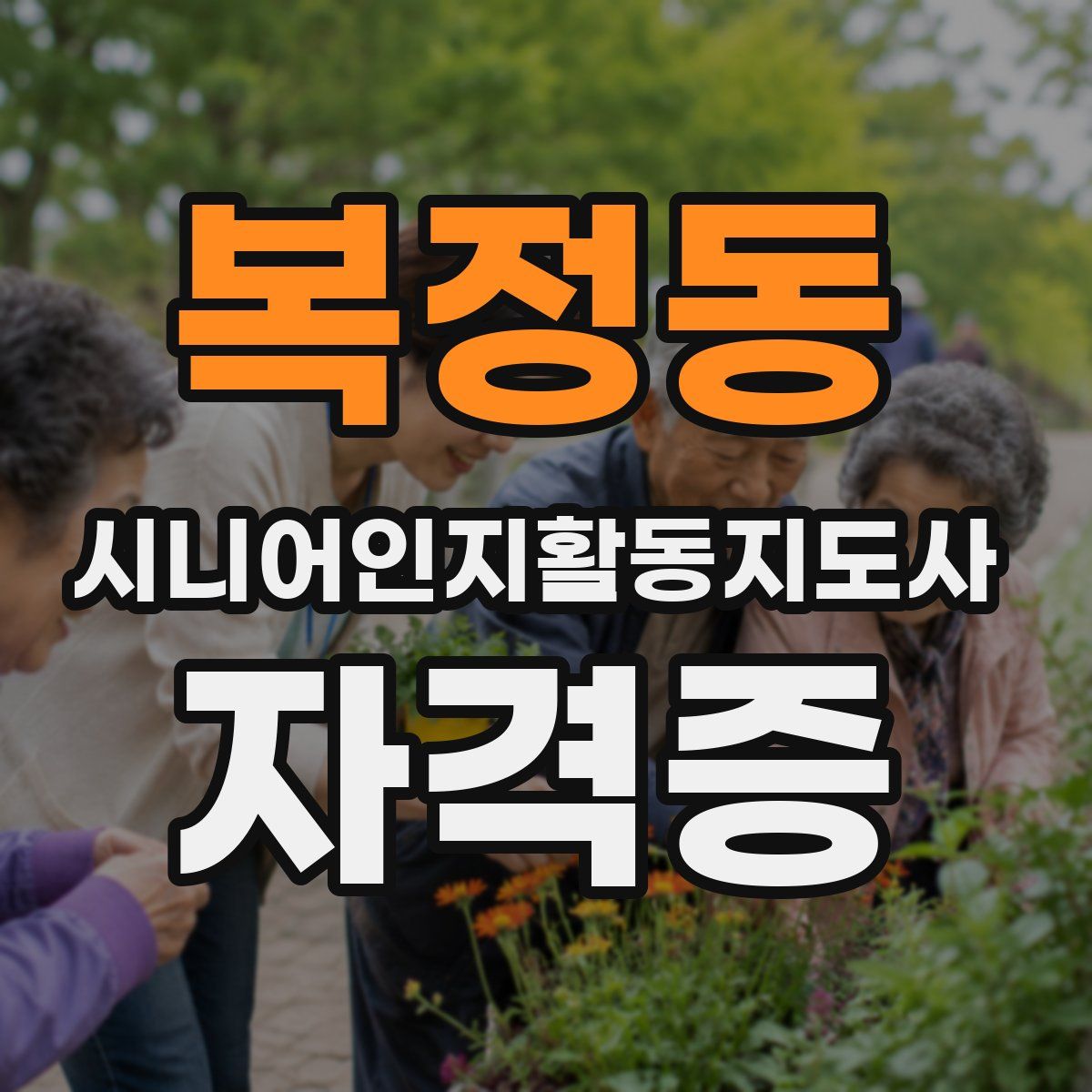 복정동 시니어인지활동지도사 자격증