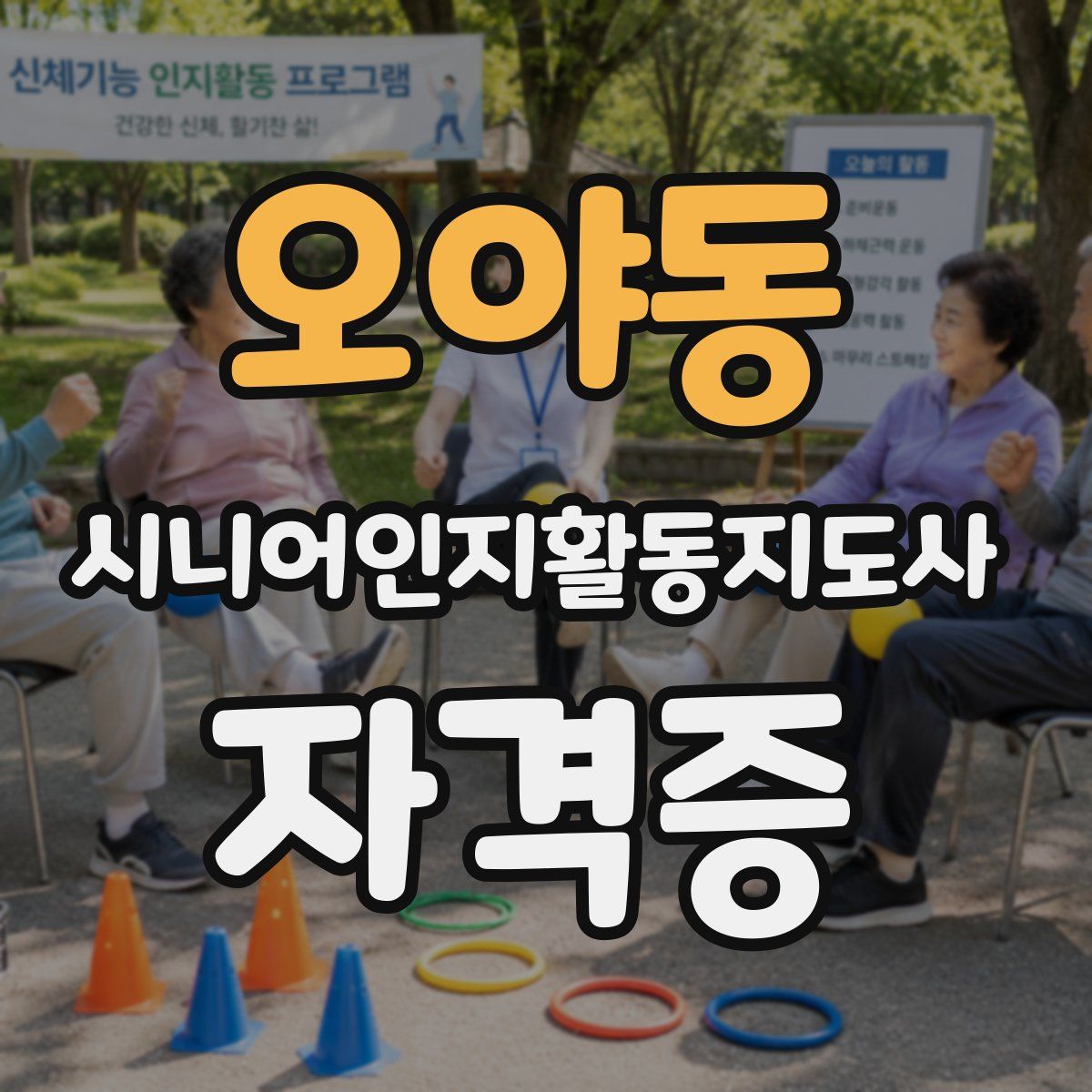 오야동 시니어인지활동지도사 자격증