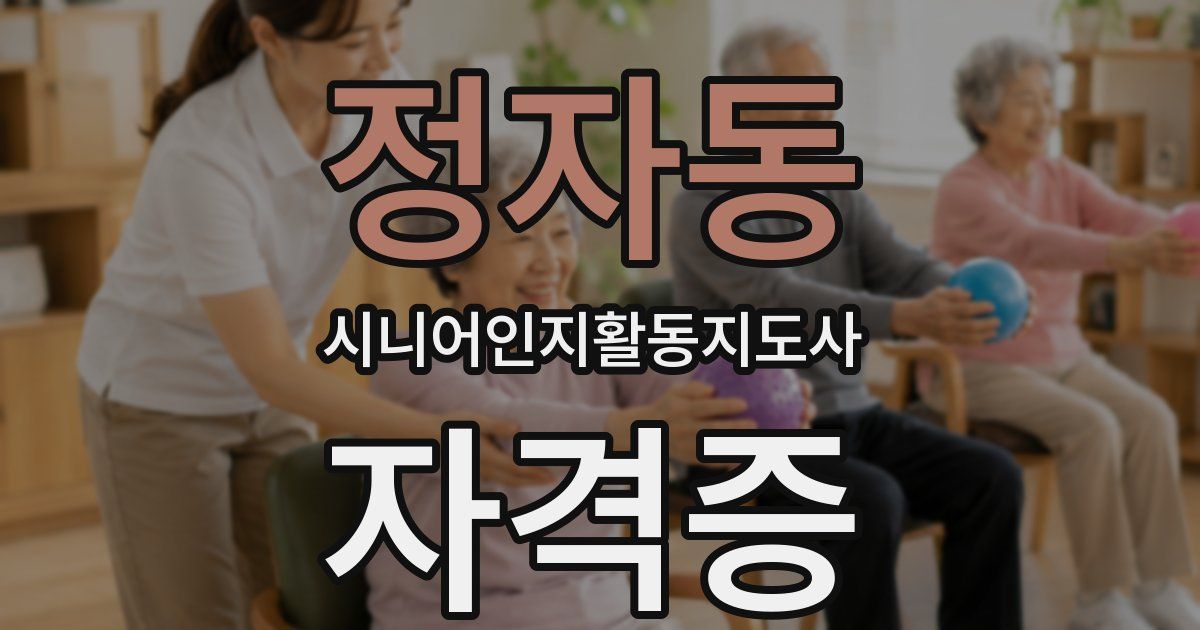 정자동 시니어인지활동지도사 자격증