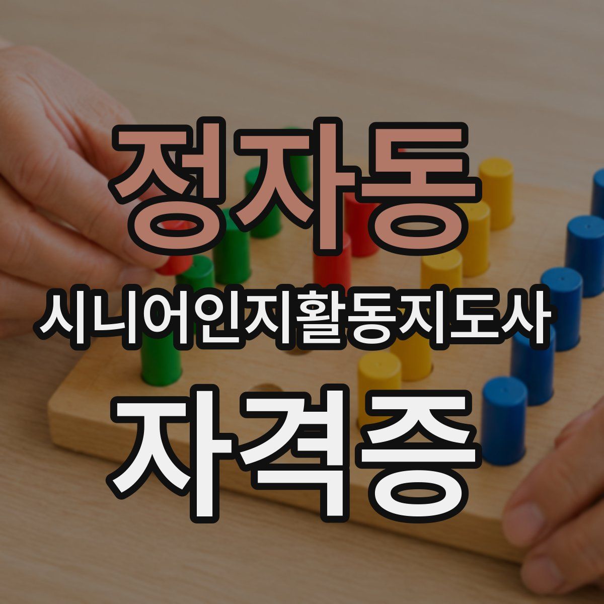 정자동 시니어인지활동지도사 자격증