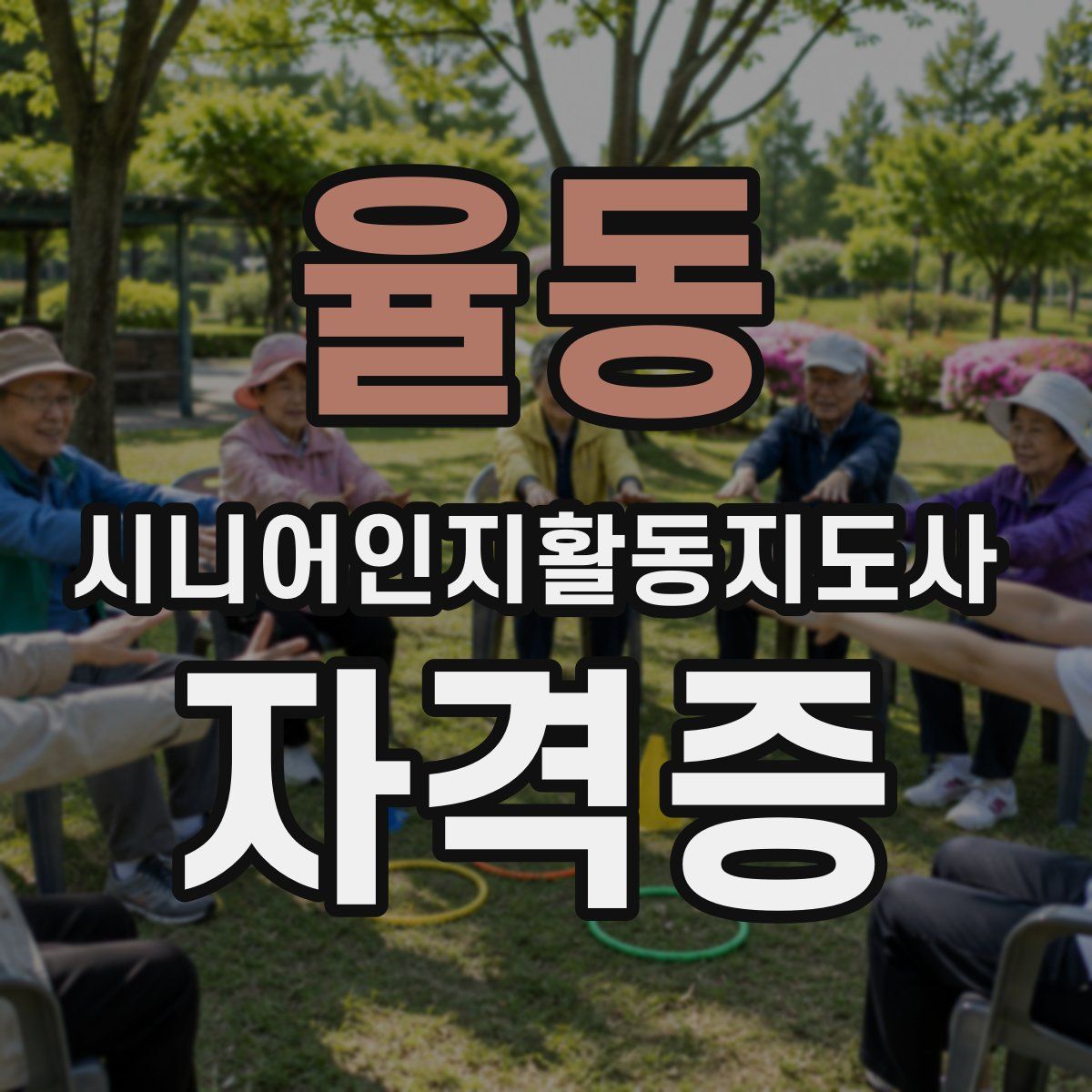 율동 시니어인지활동지도사 자격증