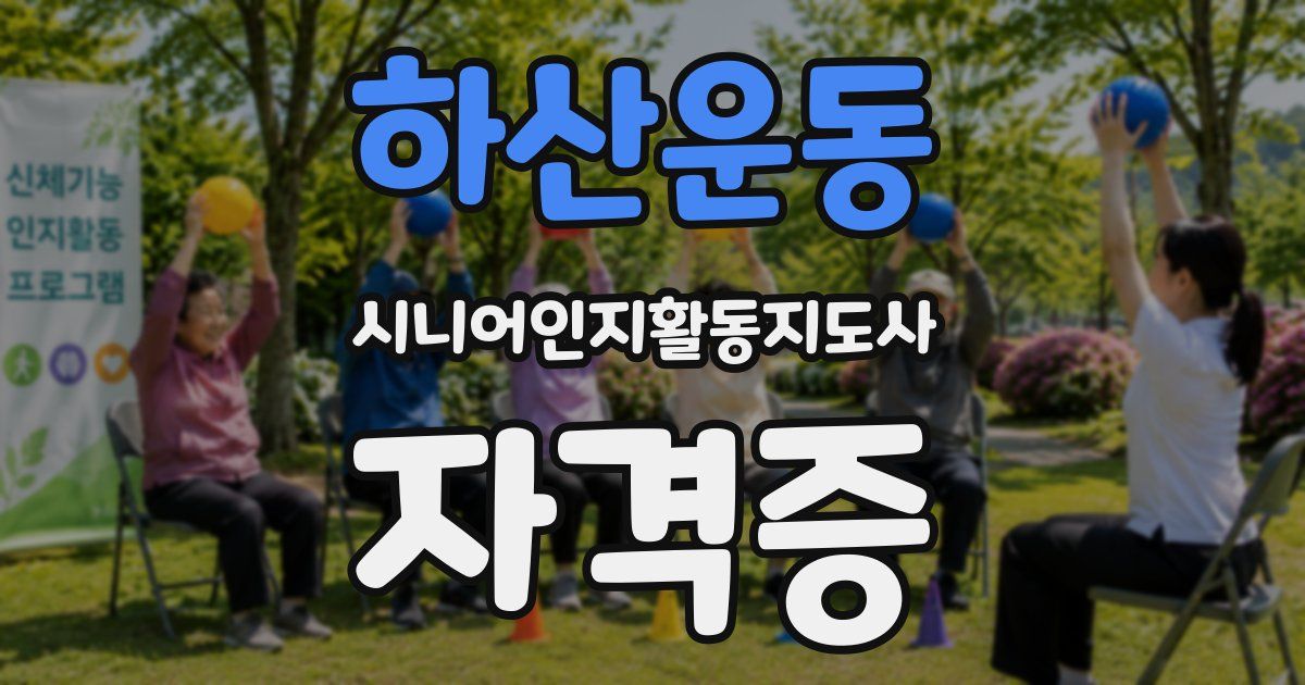 하산운동 시니어인지활동지도사 자격증