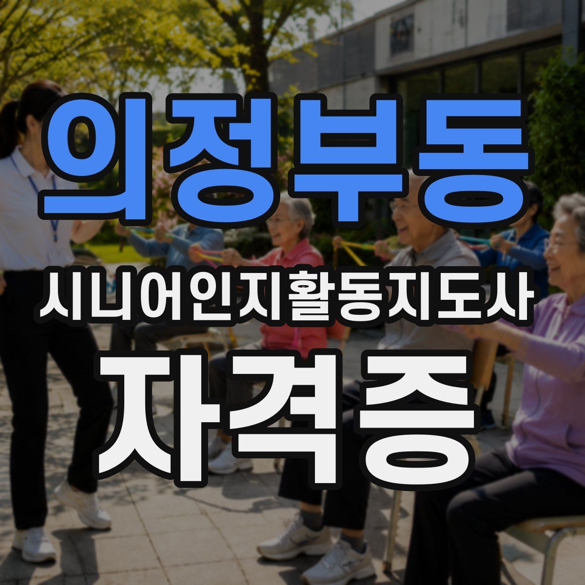 의정부동 시니어인지활동지도사 자격증