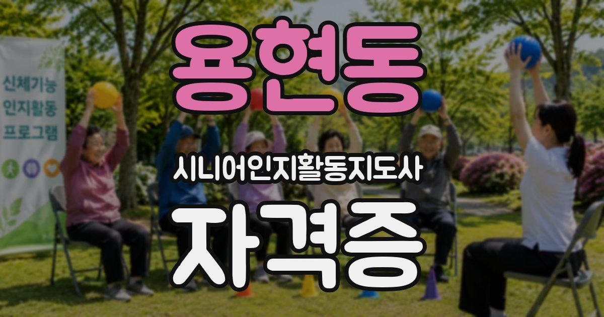 용현동 시니어인지활동지도사 자격증