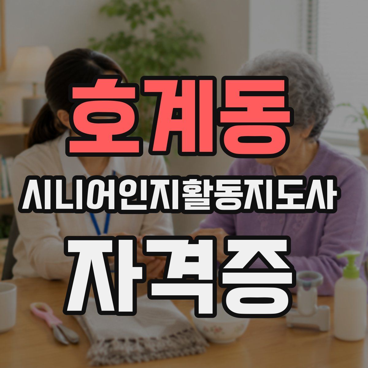호계동 시니어인지활동지도사 자격증
