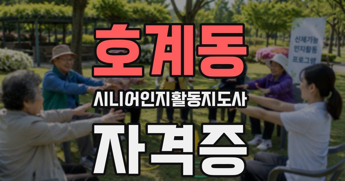 호계동 시니어인지활동지도사 자격증