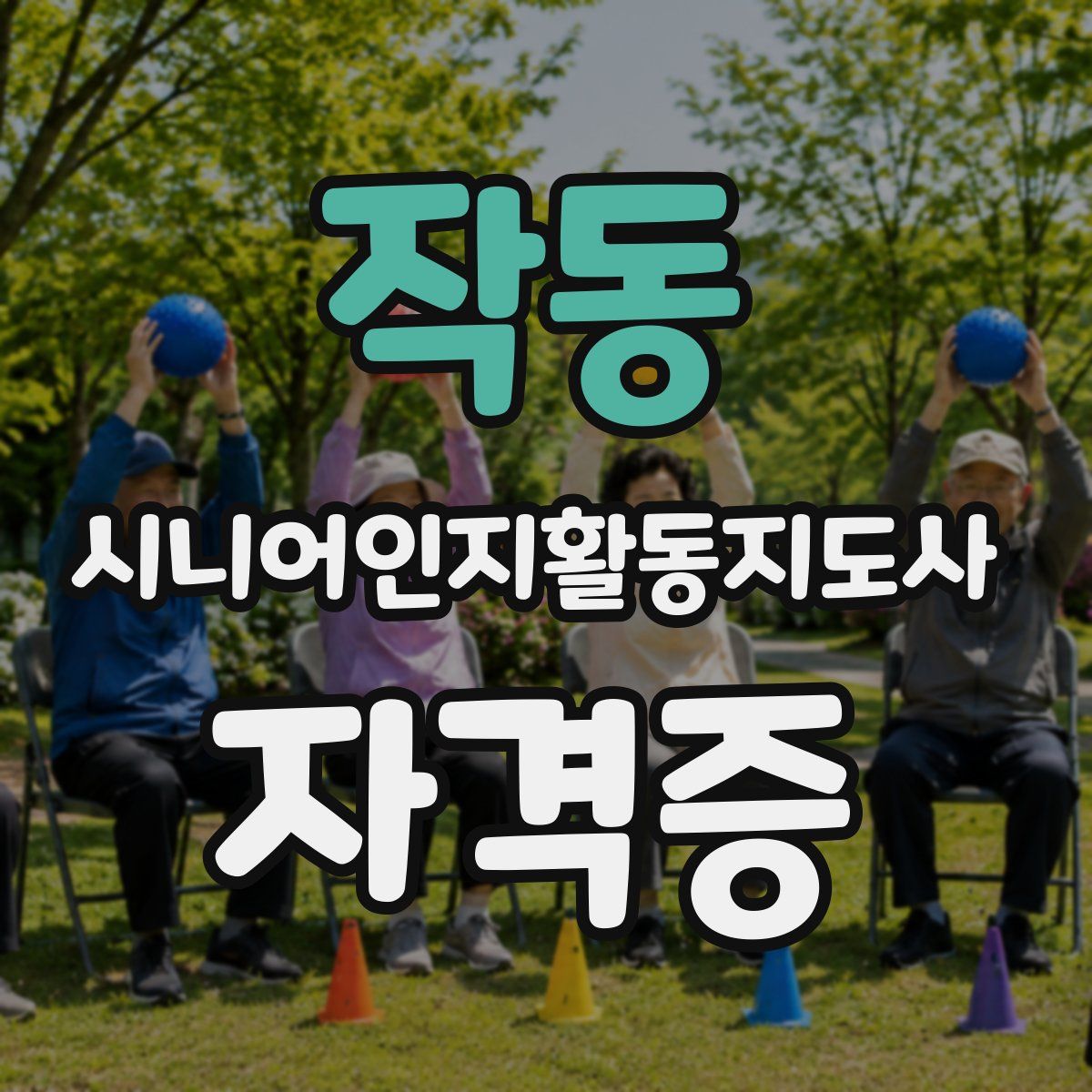 작동 시니어인지활동지도사 자격증