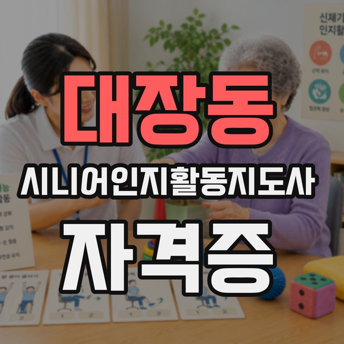 대장동 시니어인지활동지도사 자격증