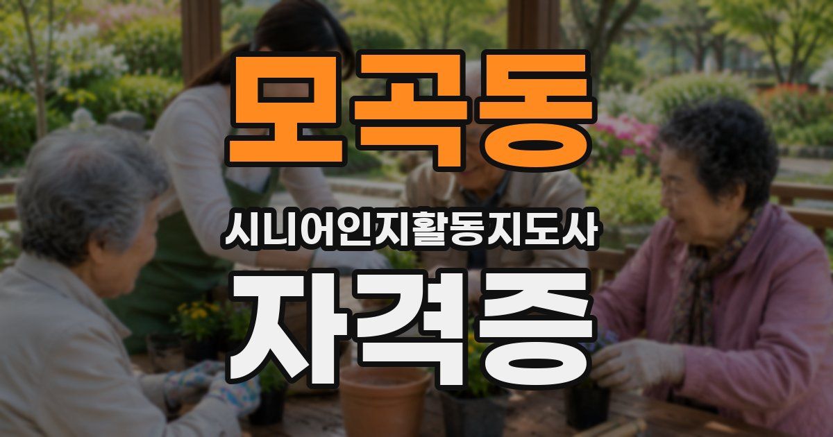 모곡동 시니어인지활동지도사 자격증