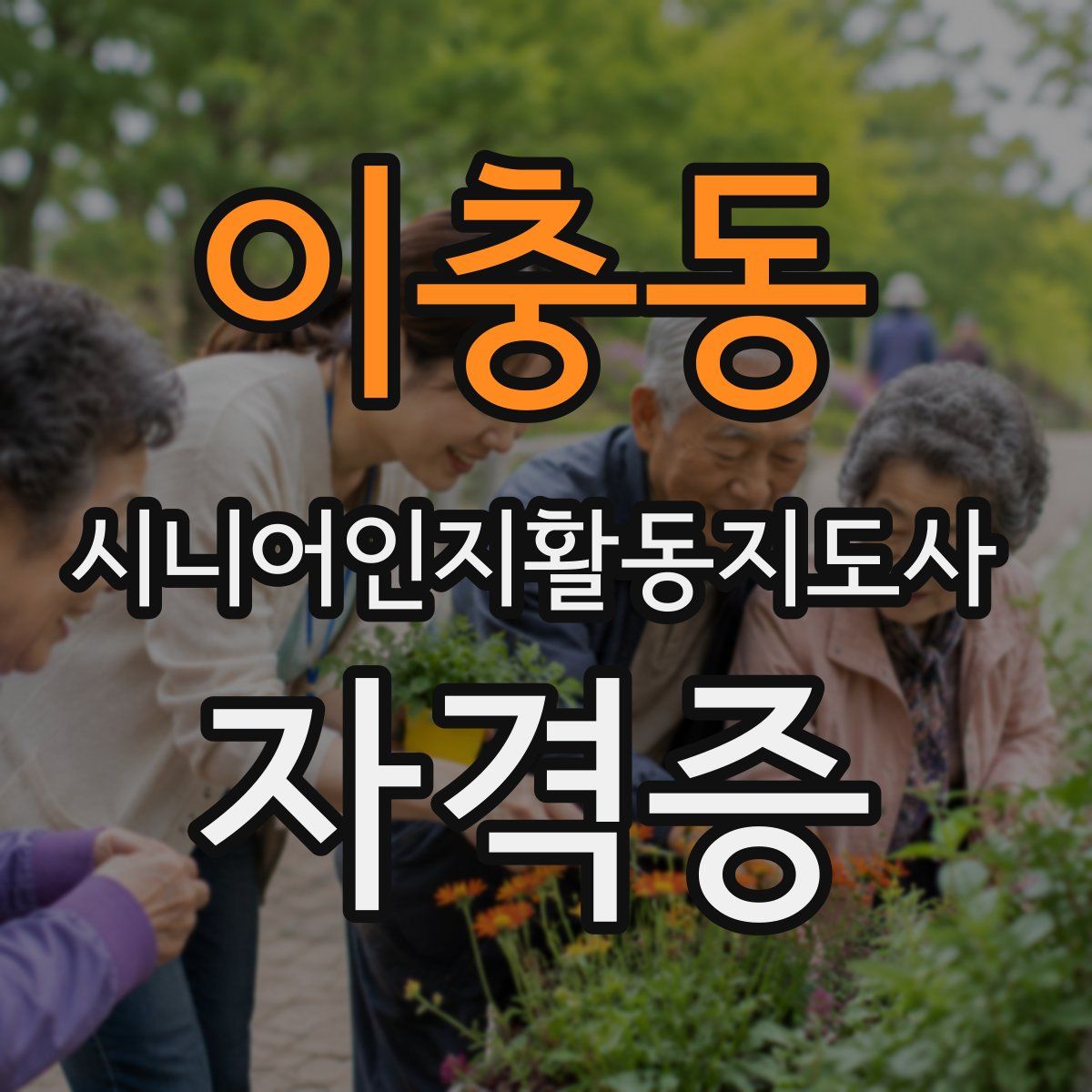 이충동 시니어인지활동지도사 자격증