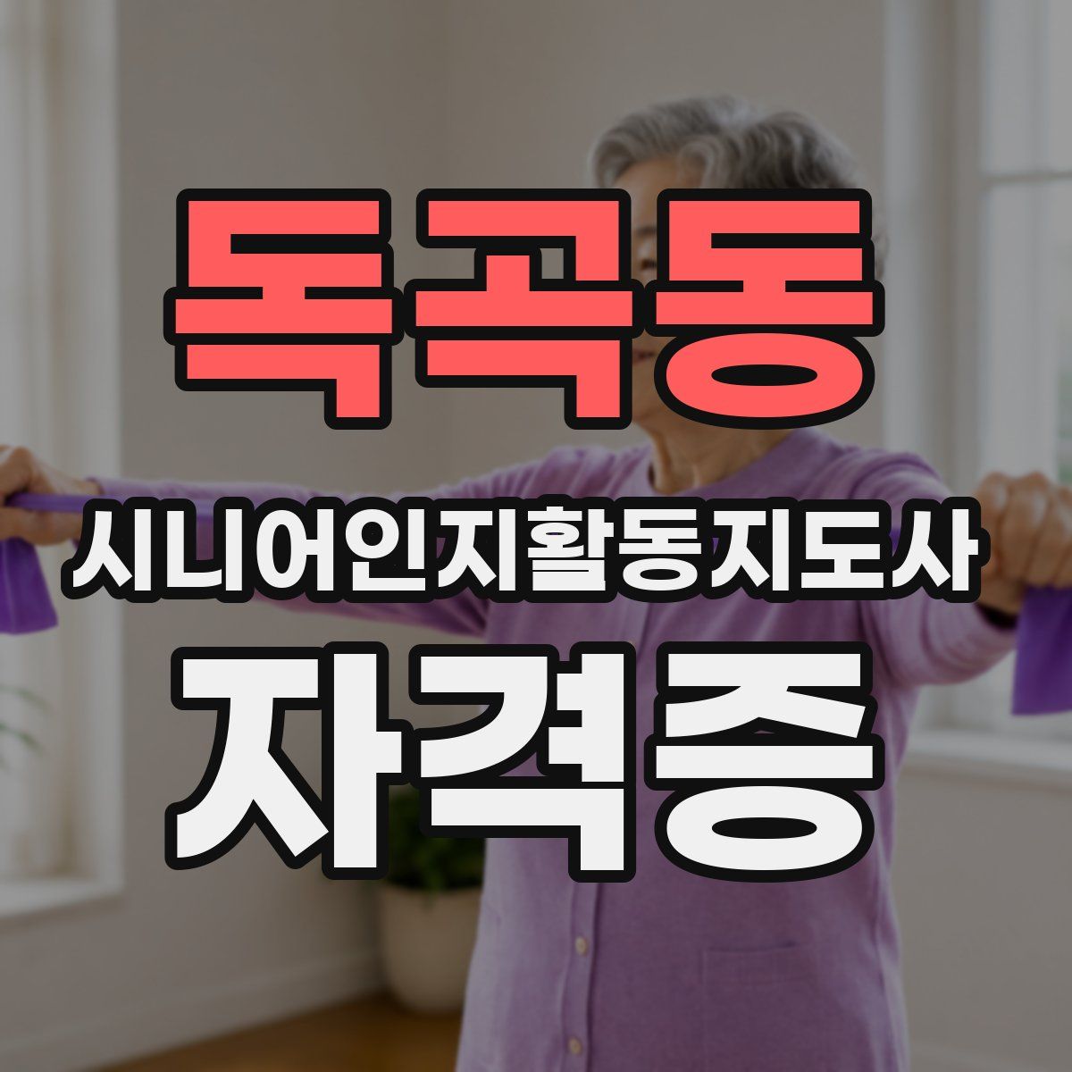 독곡동 시니어인지활동지도사 자격증
