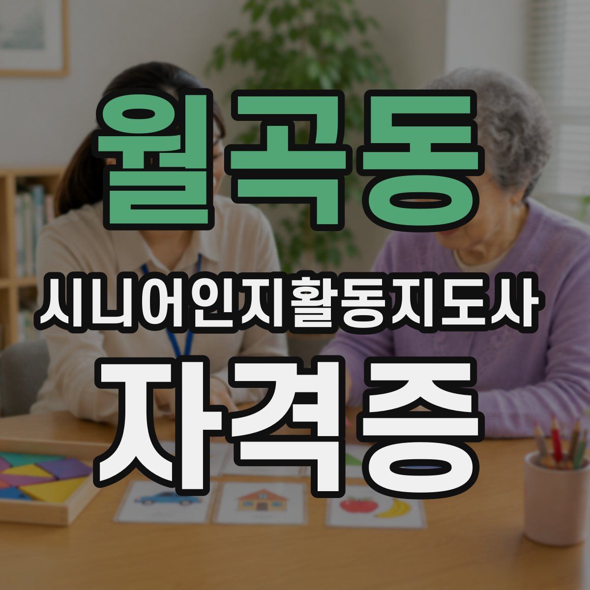 월곡동 시니어인지활동지도사 자격증