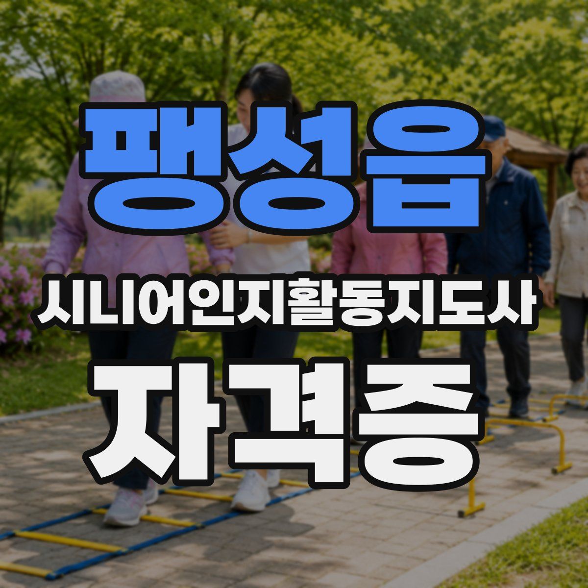 팽성읍 시니어인지활동지도사 자격증
