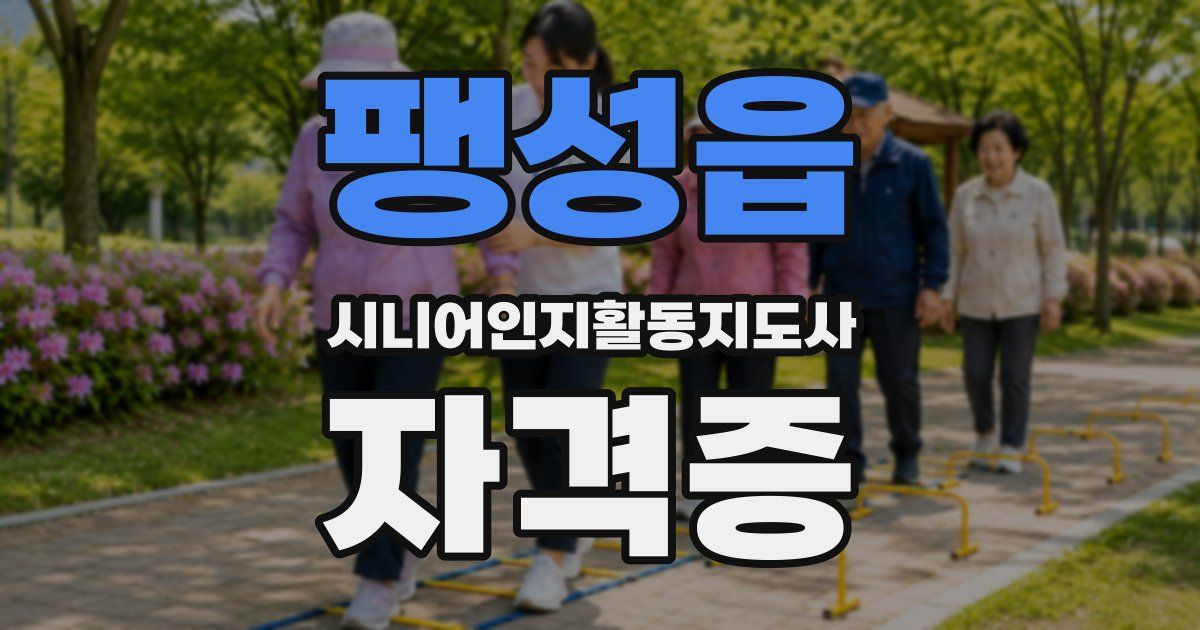 팽성읍 시니어인지활동지도사 자격증