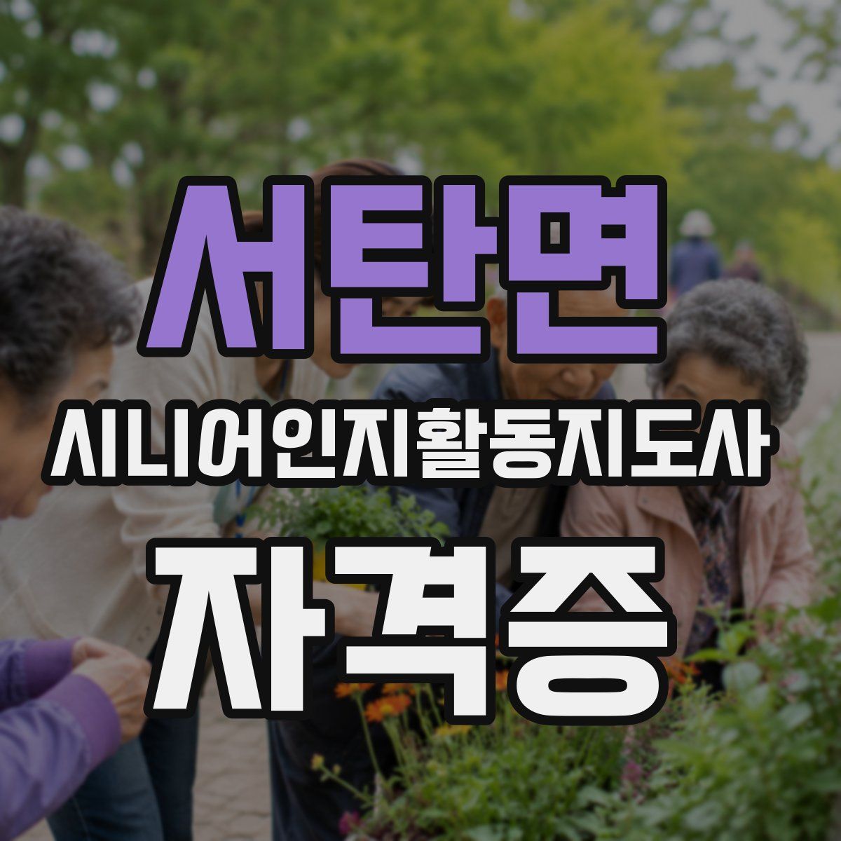 서탄면 시니어인지활동지도사 자격증