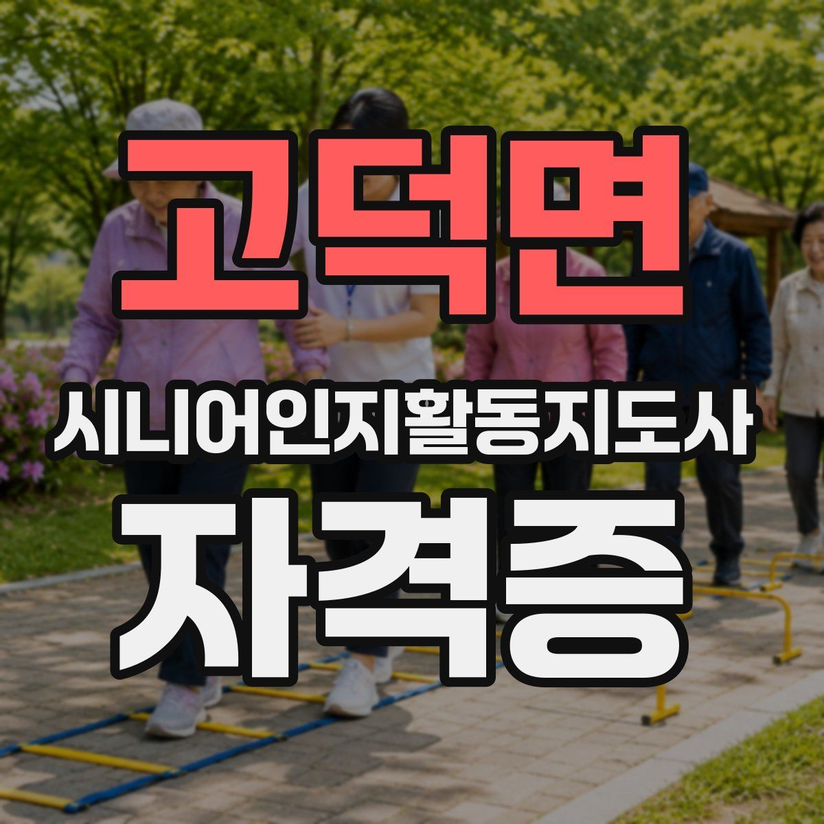 고덕면 시니어인지활동지도사 자격증