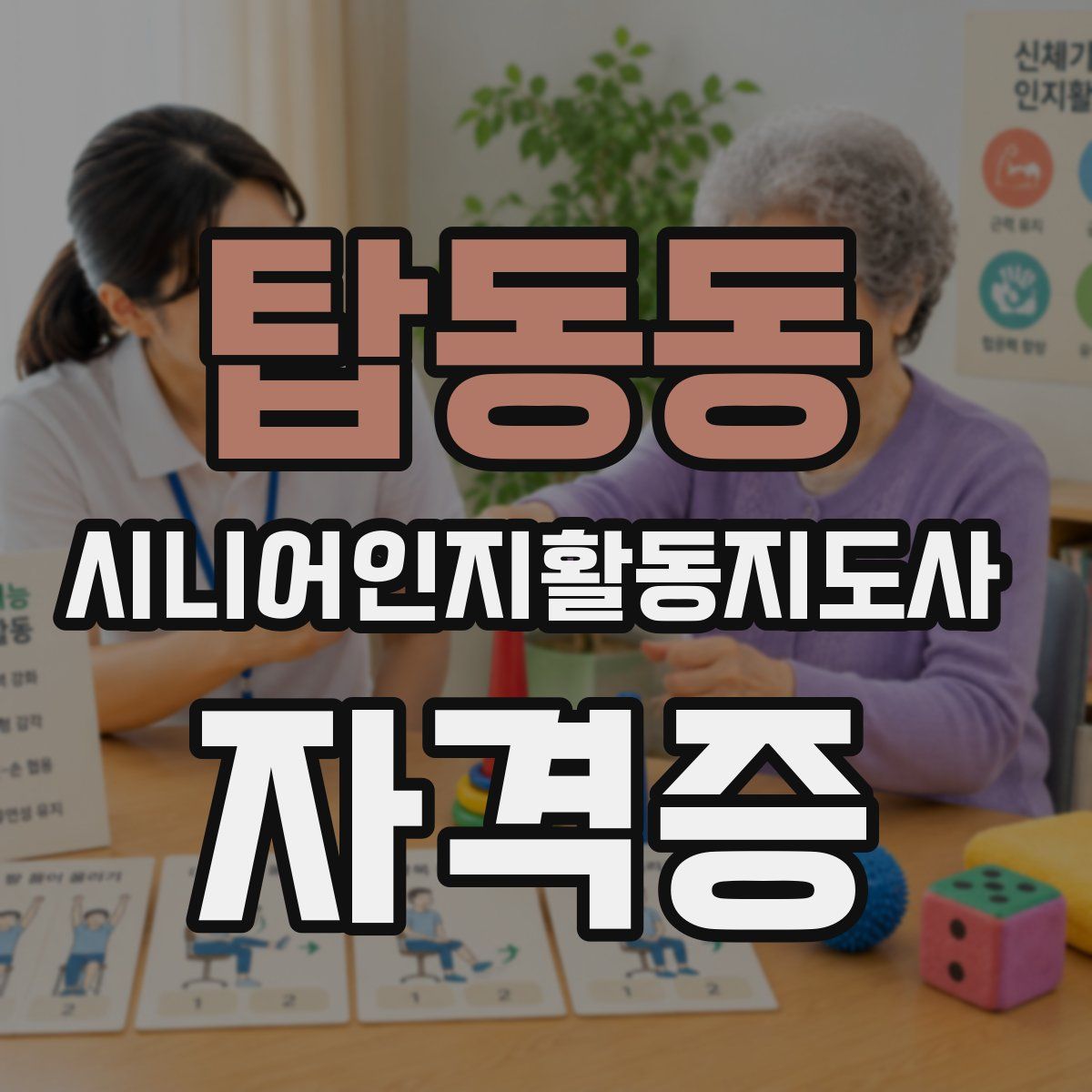 탑동동 시니어인지활동지도사 자격증