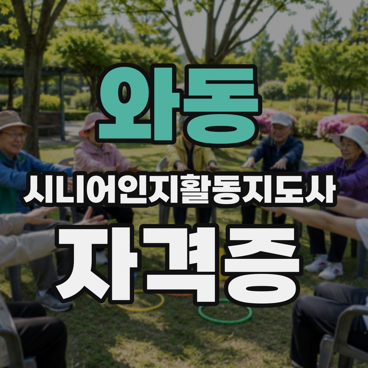 와동 시니어인지활동지도사 자격증