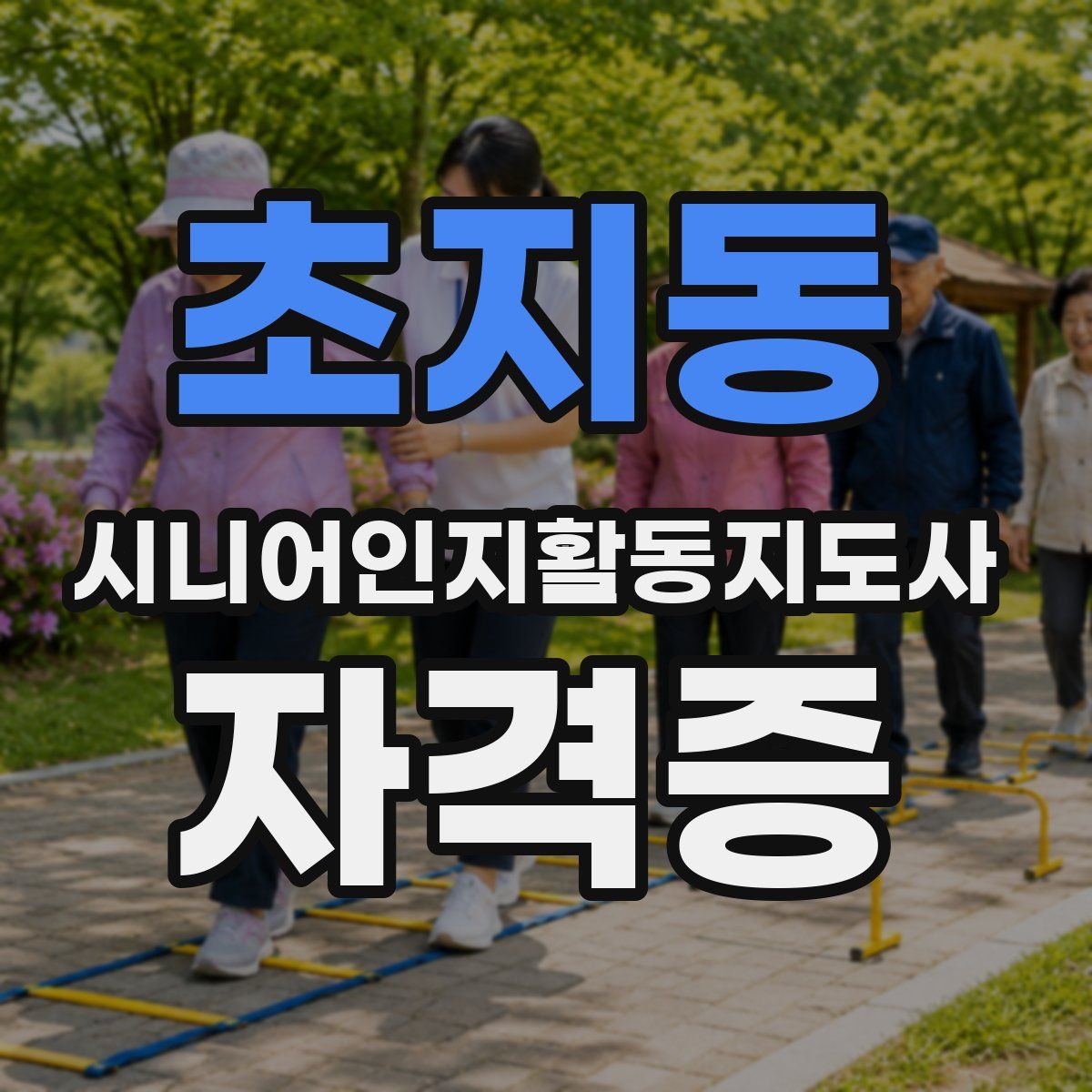 초지동 시니어인지활동지도사 자격증