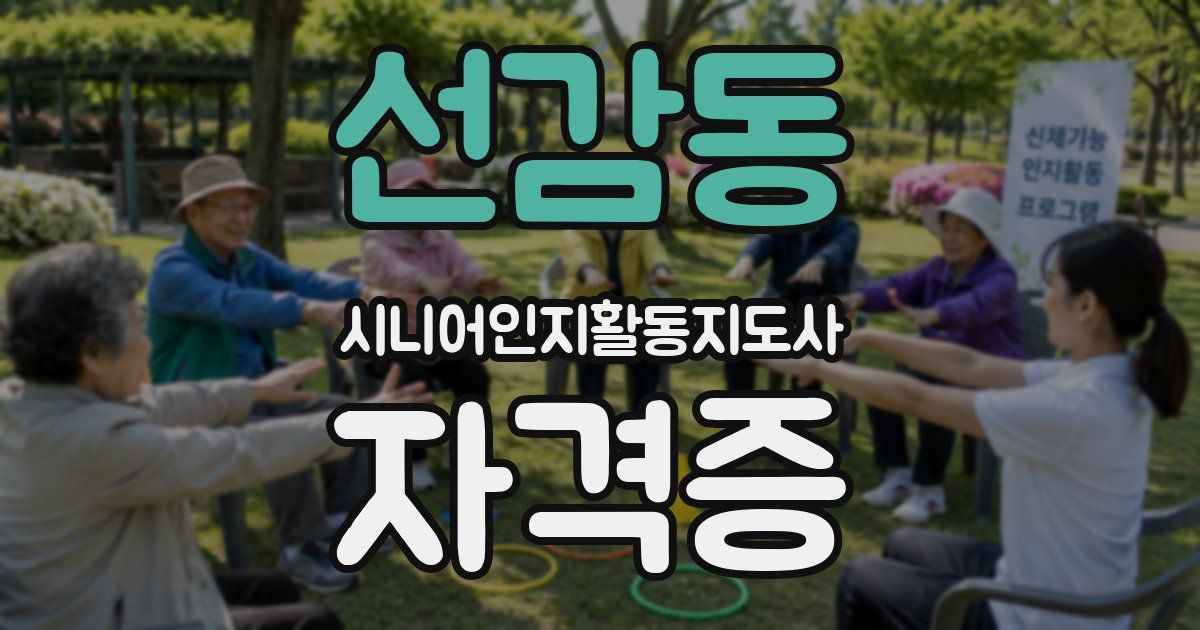 선감동 시니어인지활동지도사 자격증