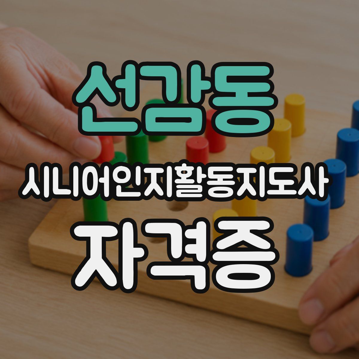 선감동 시니어인지활동지도사 자격증