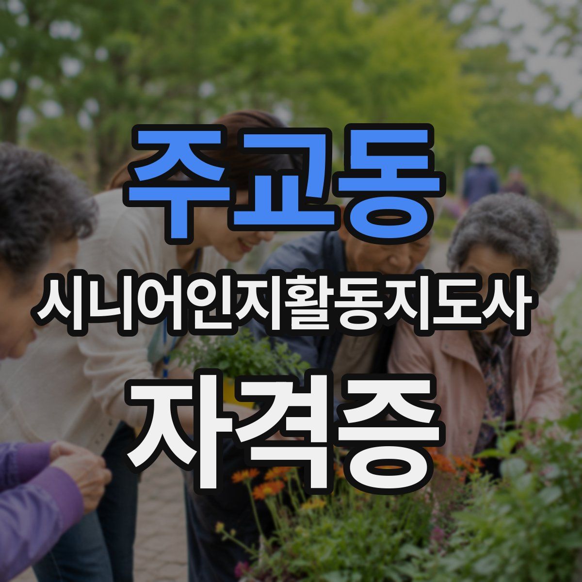 주교동 시니어인지활동지도사 자격증