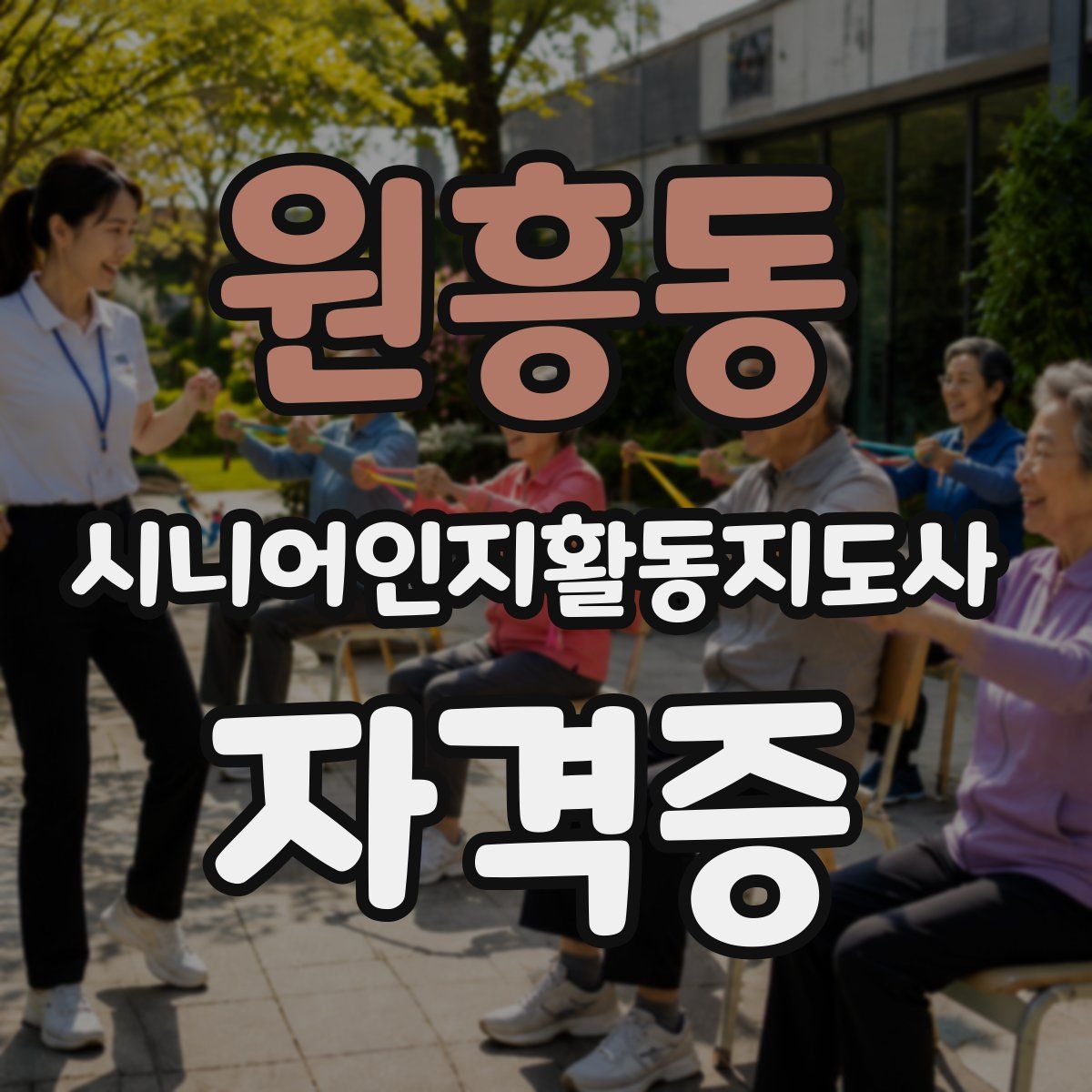 원흥동 시니어인지활동지도사 자격증