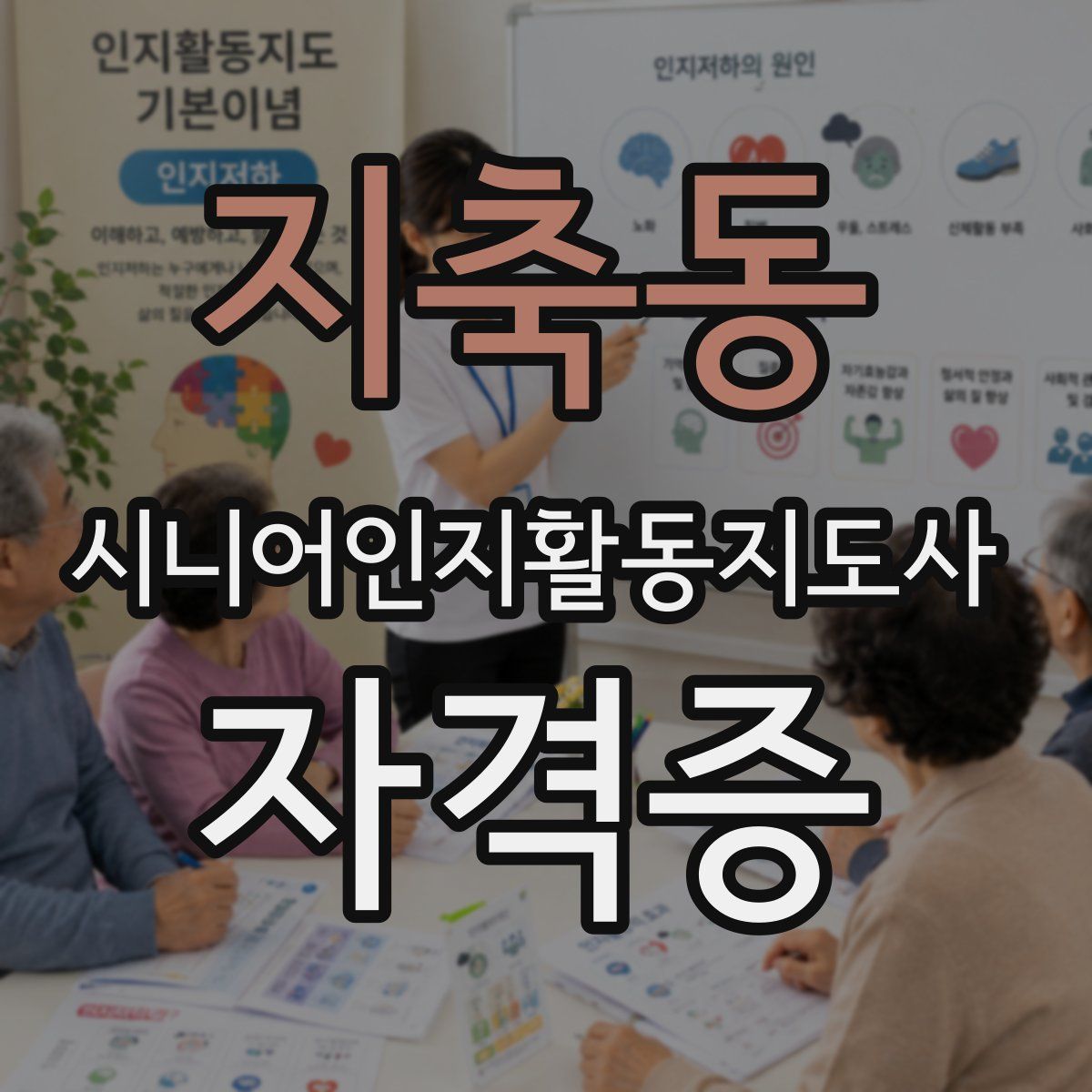 지축동 시니어인지활동지도사 자격증