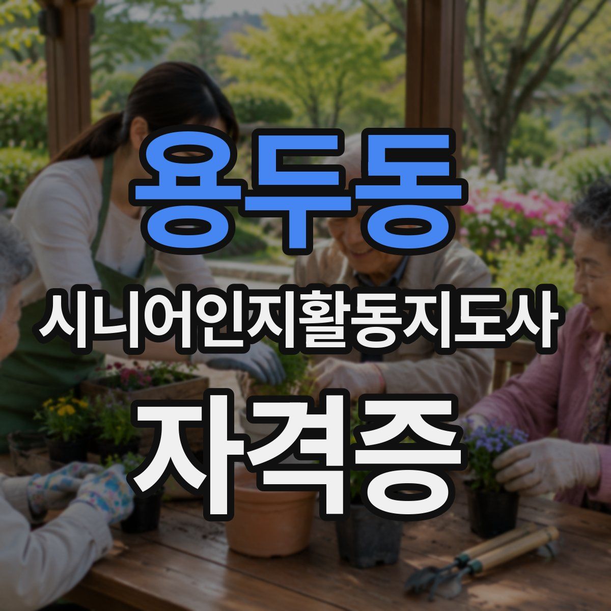 용두동 시니어인지활동지도사 자격증