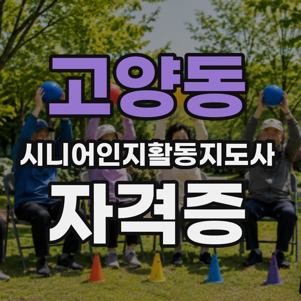 고양동 시니어인지활동지도사 자격증