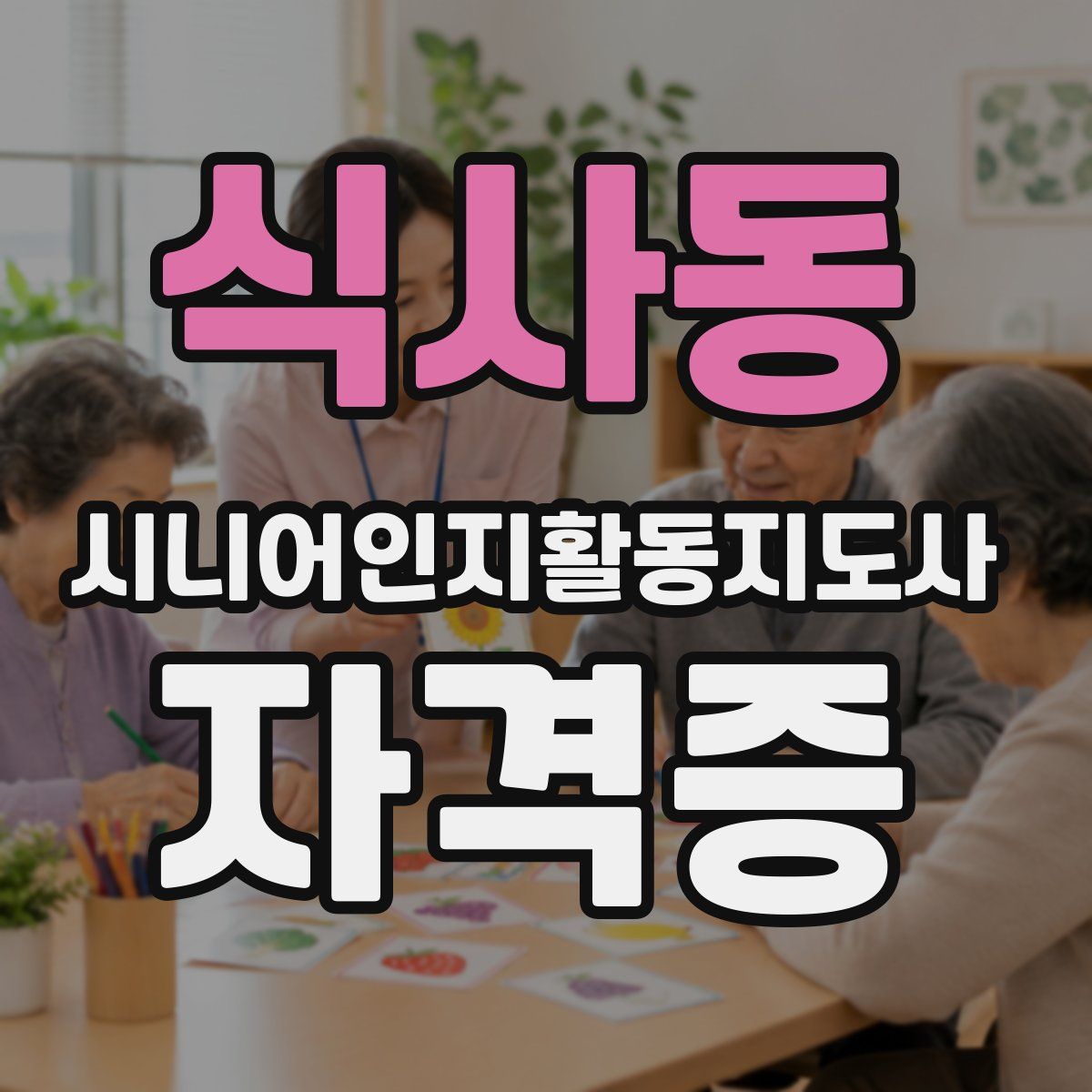 식사동 시니어인지활동지도사 자격증