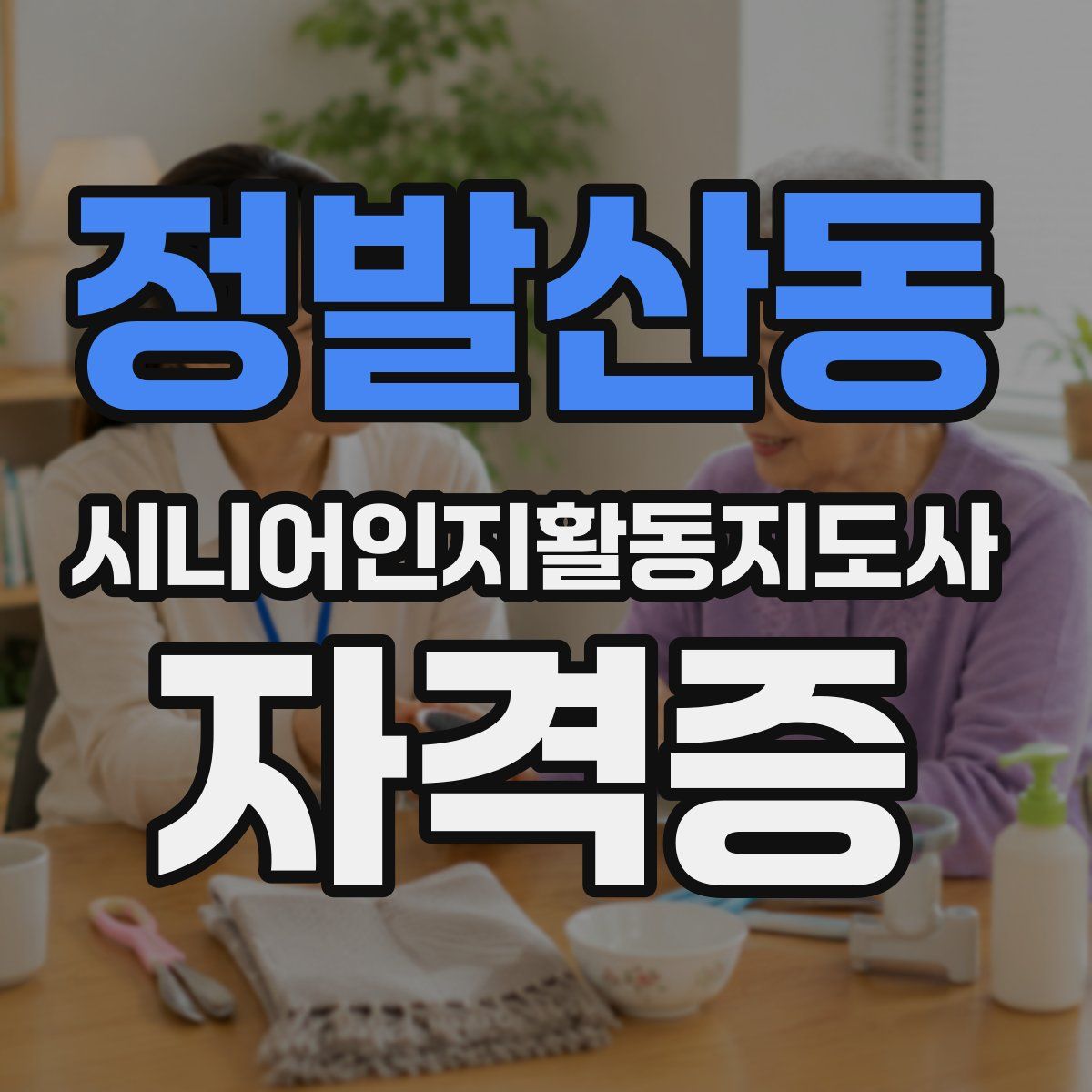 정발산동 시니어인지활동지도사 자격증