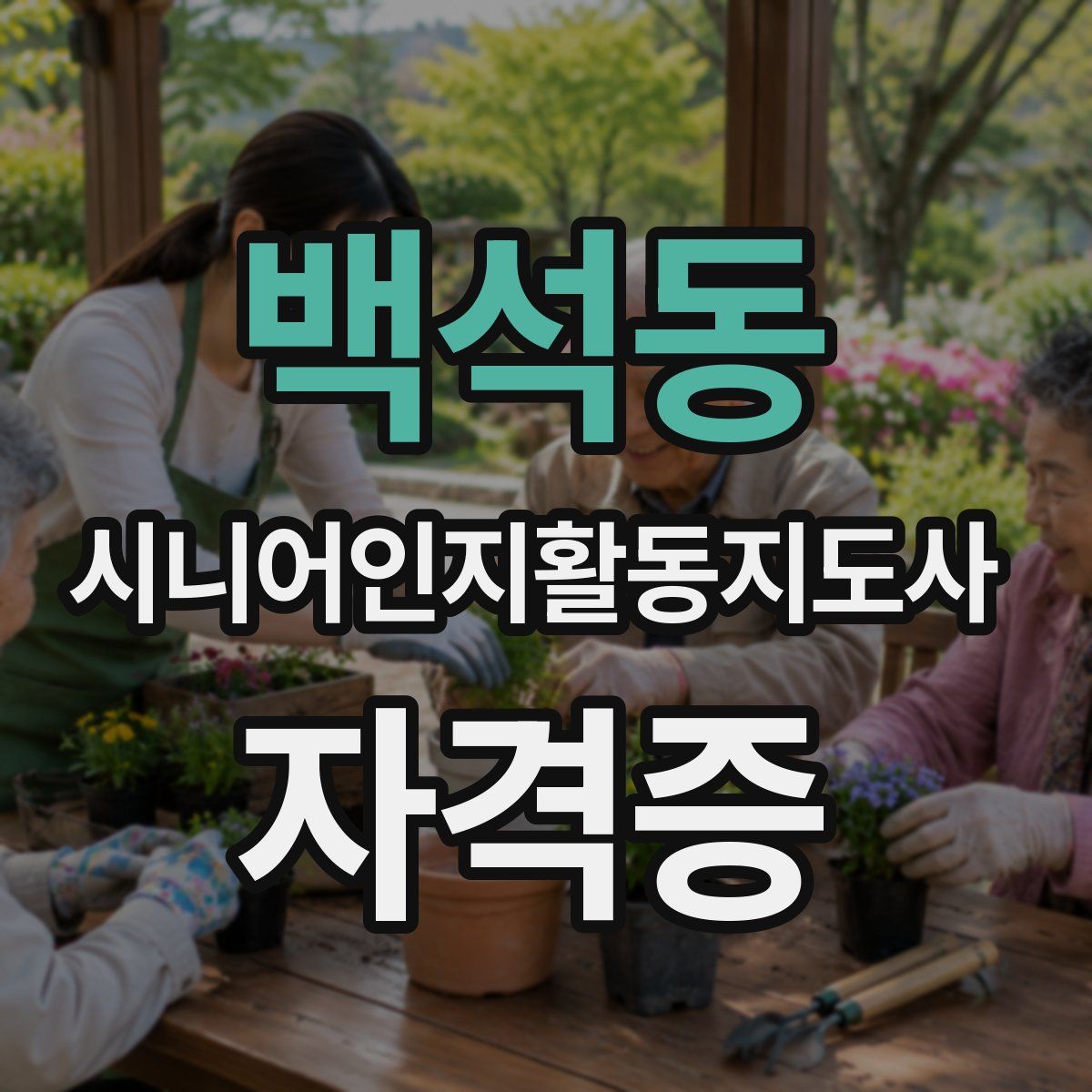 백석동 시니어인지활동지도사 자격증