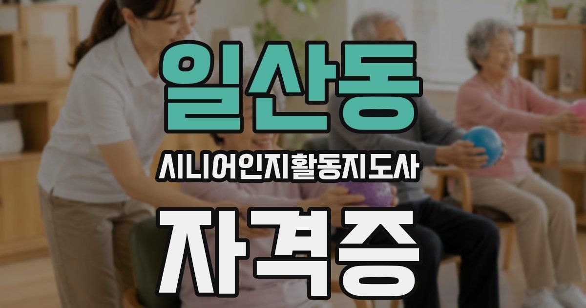 일산동 시니어인지활동지도사 자격증