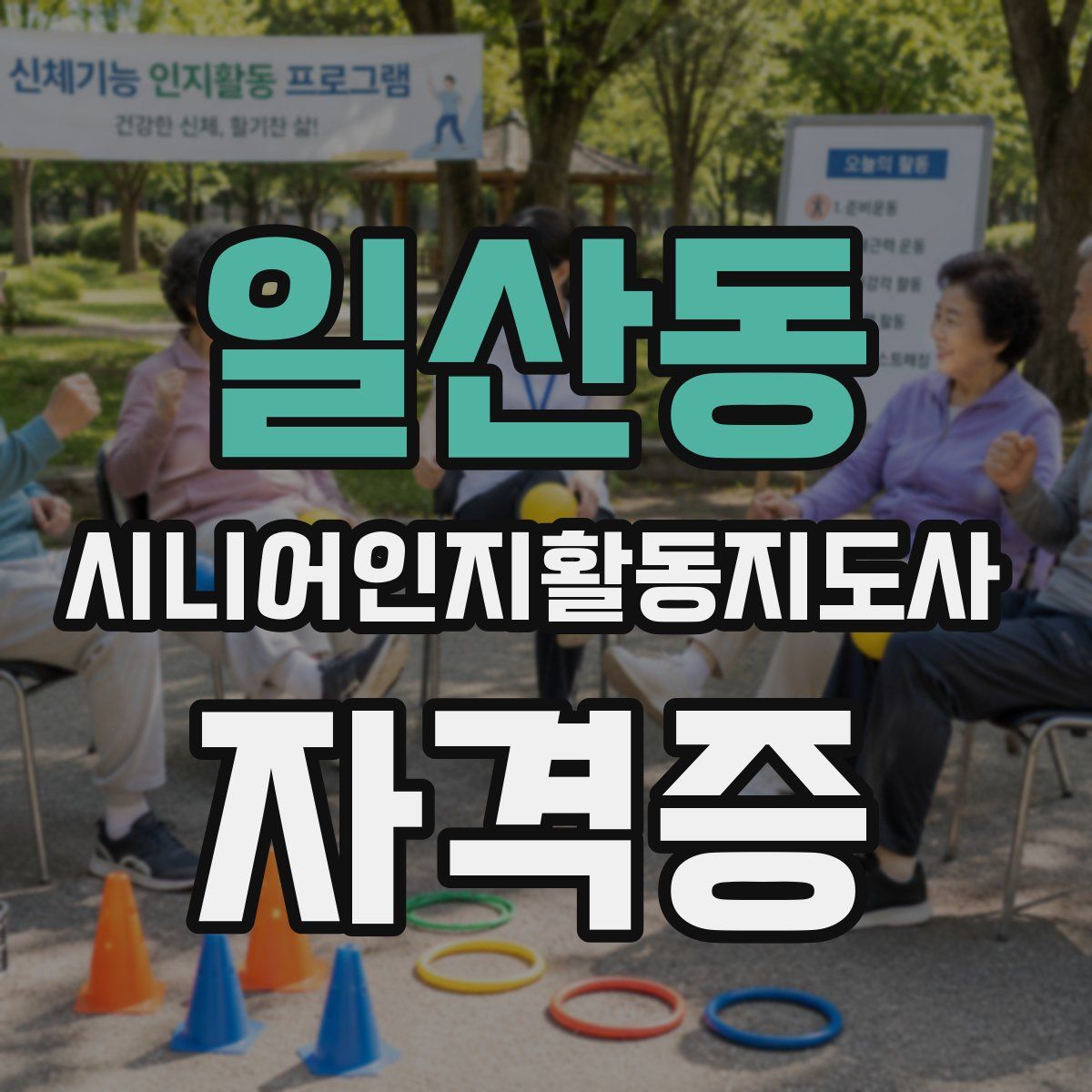 일산동 시니어인지활동지도사 자격증